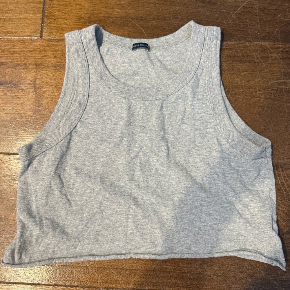 Brandy Melville Light Gray Crop Top